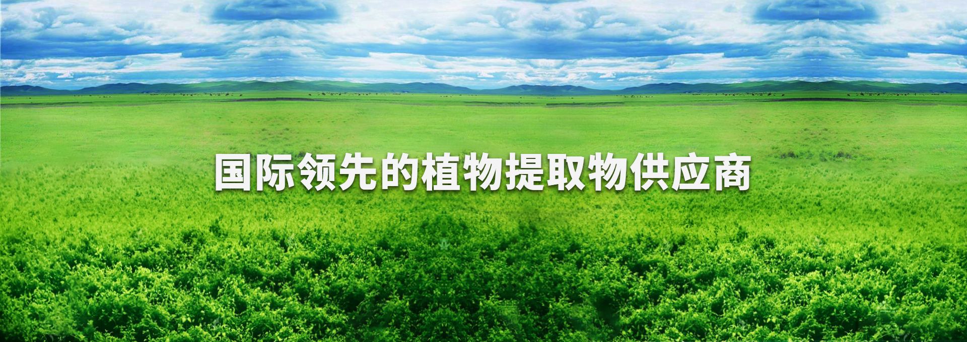 bevictor伟德-bv伟德国际体育官方网站