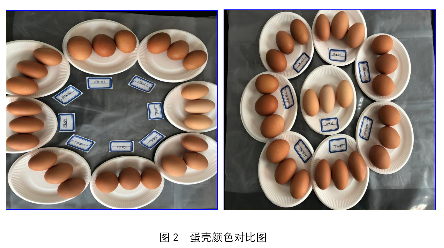 bevictor伟德-bv伟德国际体育官方网站