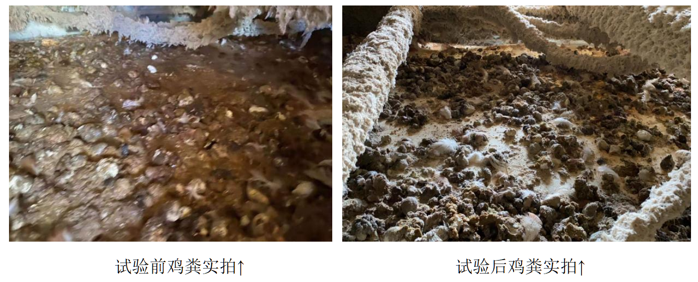 bevictor伟德-bv伟德国际体育官方网站