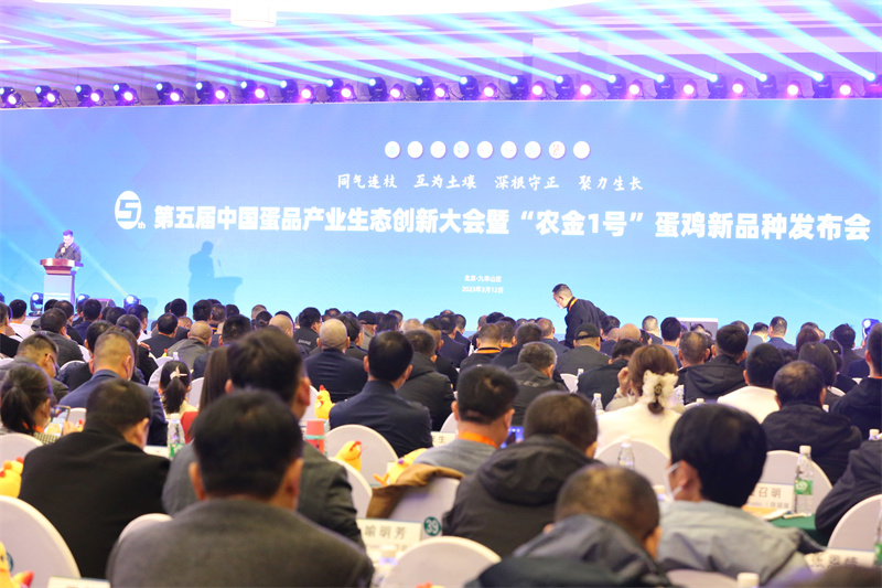 bevictor伟德-bv伟德国际体育官方网站