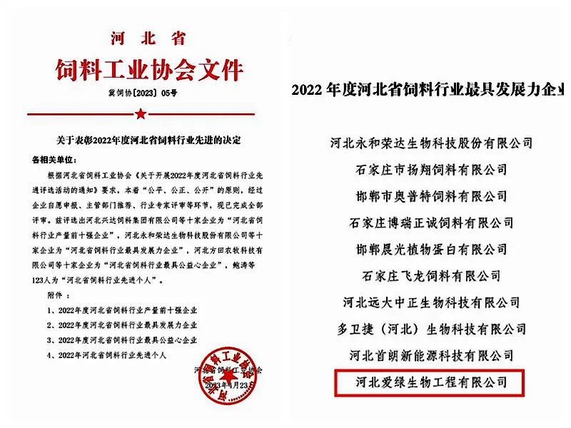 bevictor伟德-bv伟德国际体育官方网站