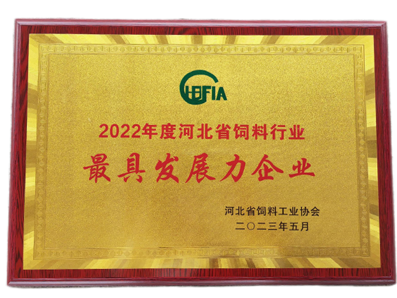 bevictor伟德-bv伟德国际体育官方网站